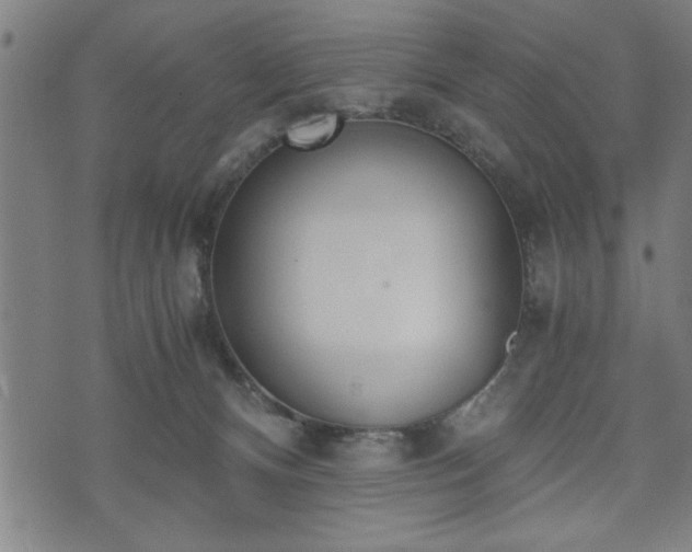 X0000073490128200608071007