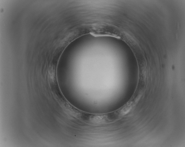 X0000073490129200608071007