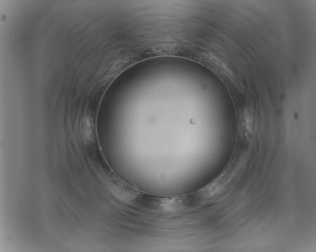 X0000073490130200608071007