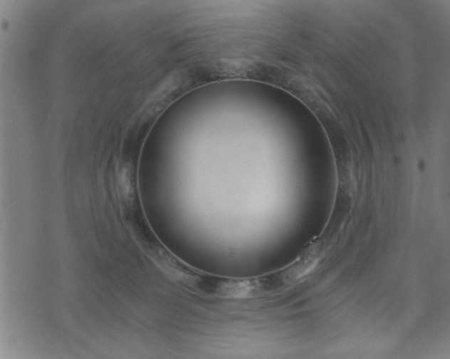 X0000073490131200608071007