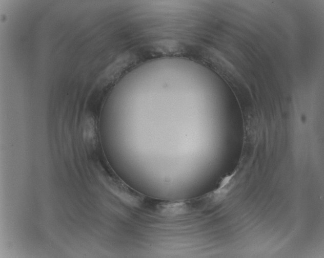 X0000073490132200608071007