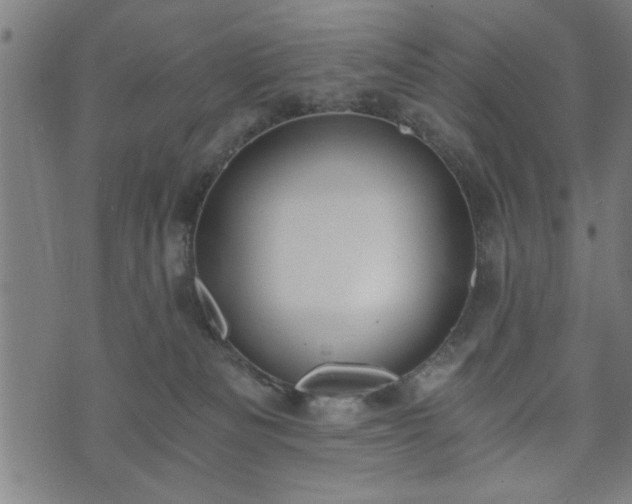 X0000073490133200608071007