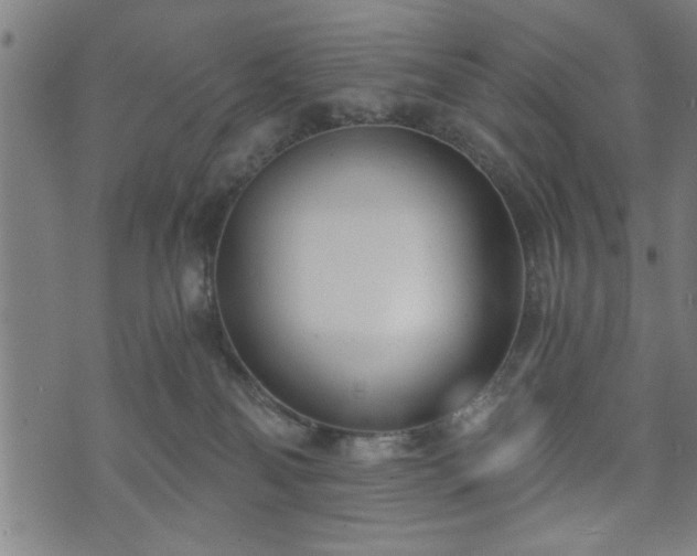 X0000073490134200608071007