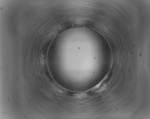 X0000073490135200608071007