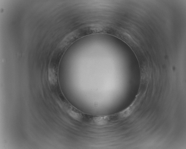 X0000073490136200608071006