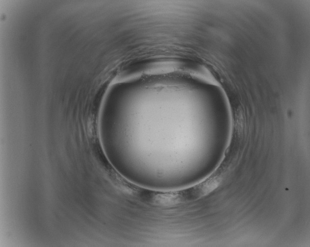 X0000073490139200608071006