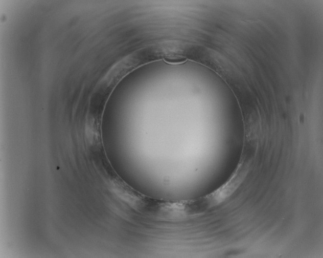 X0000073490140200608071006