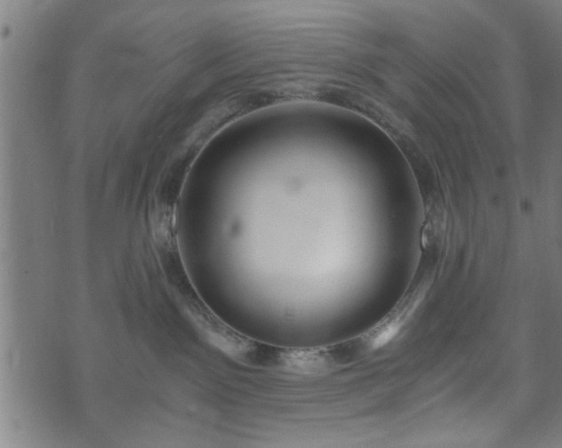 X0000073490141200608071006