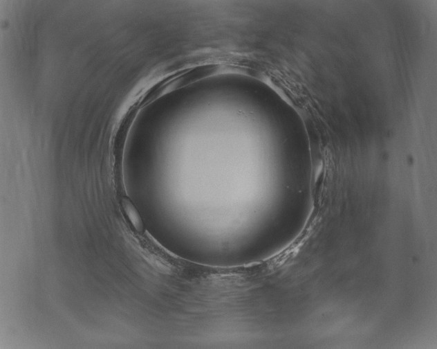 X0000073490150200608071006