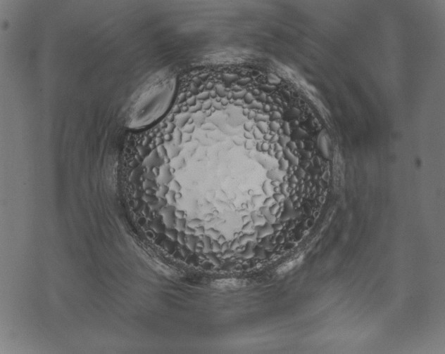 X0000073490153200608071006