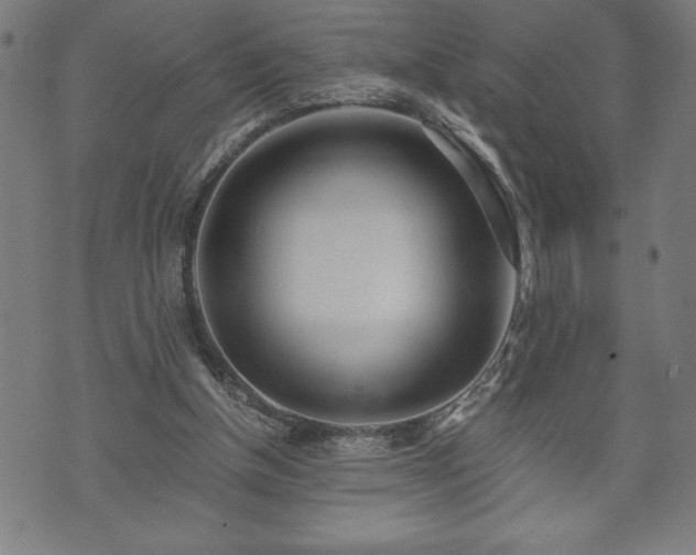 X0000073490154200608071006