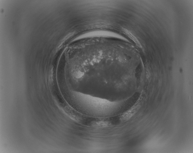 X0000073490163200608071006