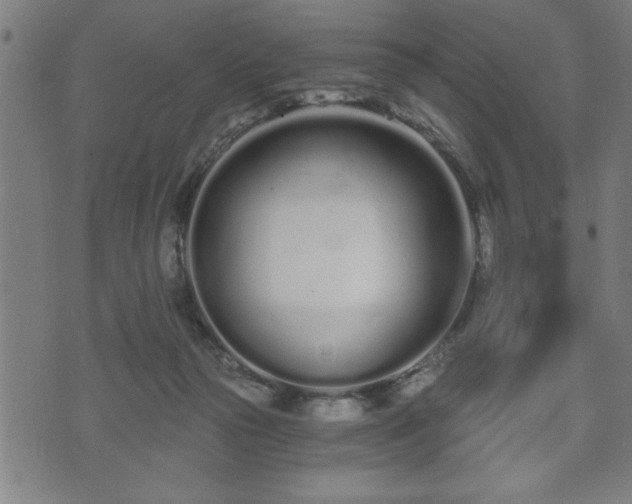 X0000073490169200608071006