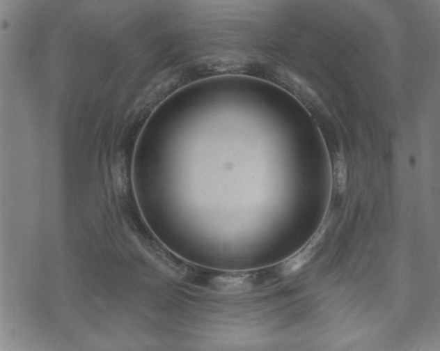 X0000073490170200608071006