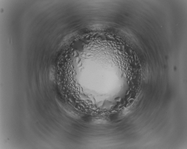 X0000073490175200608071006