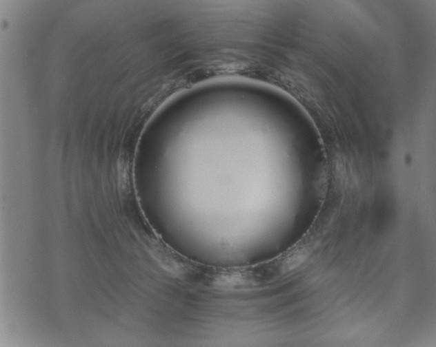 X0000073490177200608071006