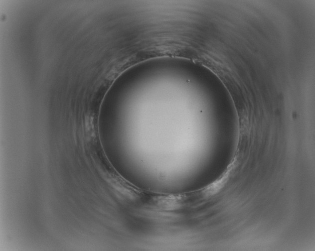 X0000073490182200608071006