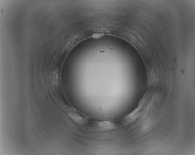 X0000073490183200608071006