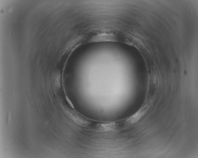 X0000073490188200608071006