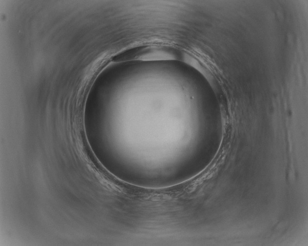 X0000073490193200608071006