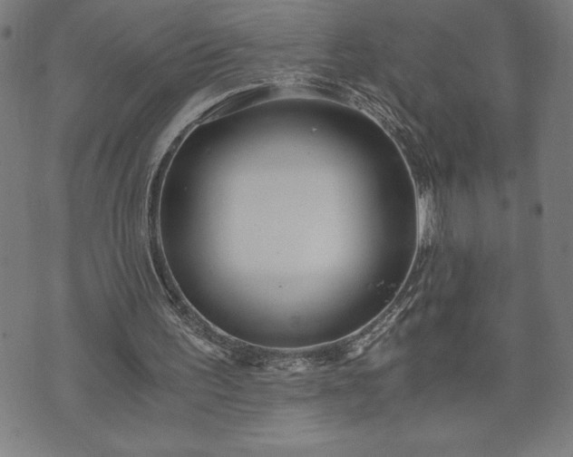 X0000073490195200608071006