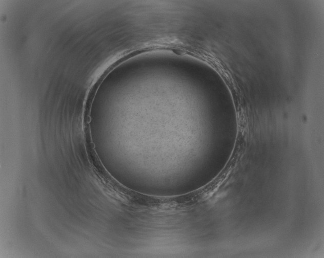 X0000073490196200608071006