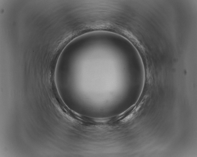 X0000073490201200608071005