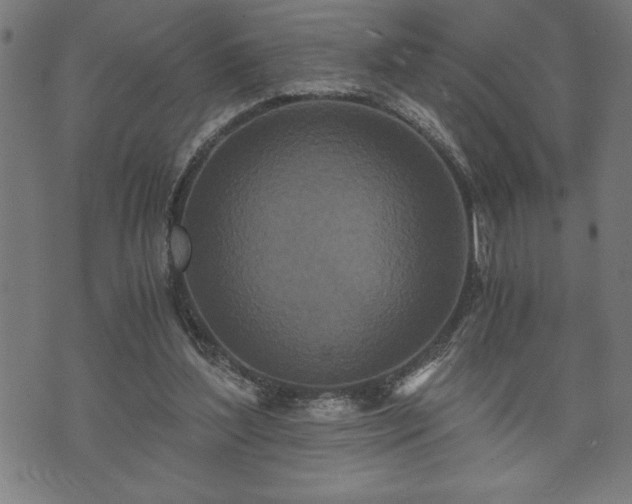 X0000073490204200608071005