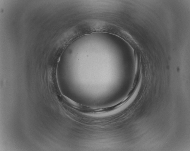 X0000073490217200608071005