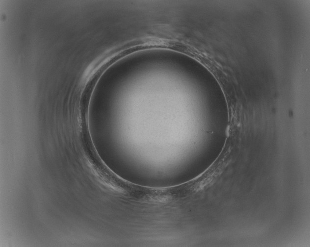 X0000073490247200608071004