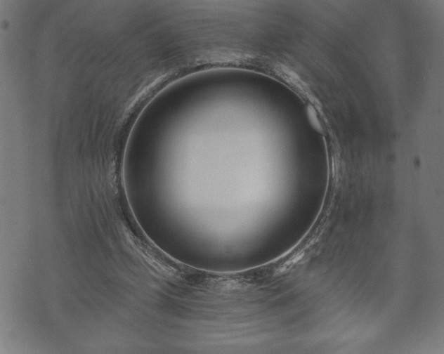 X0000073490249200608071004