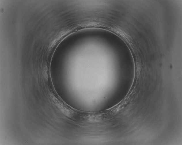 X0000073490345200608071002