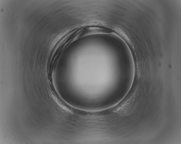 X0000073490389200608071002