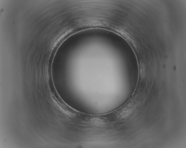 X0000073490390200608071002