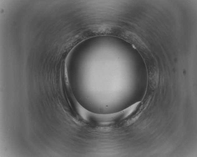 X0000073490416200608071002