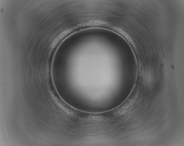X0000073490437200608071001