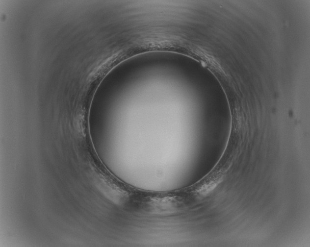 X0000073490450200608071001