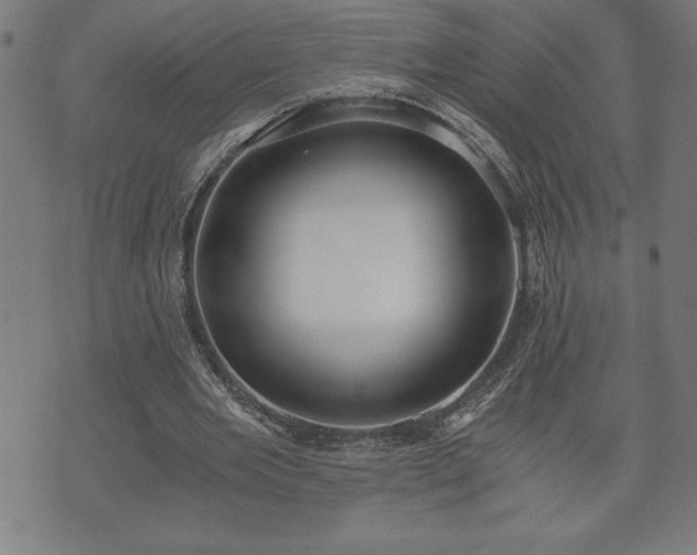 X0000073490485200608071001