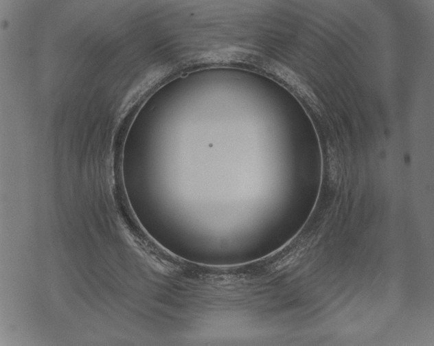 X0000073490486200608071001