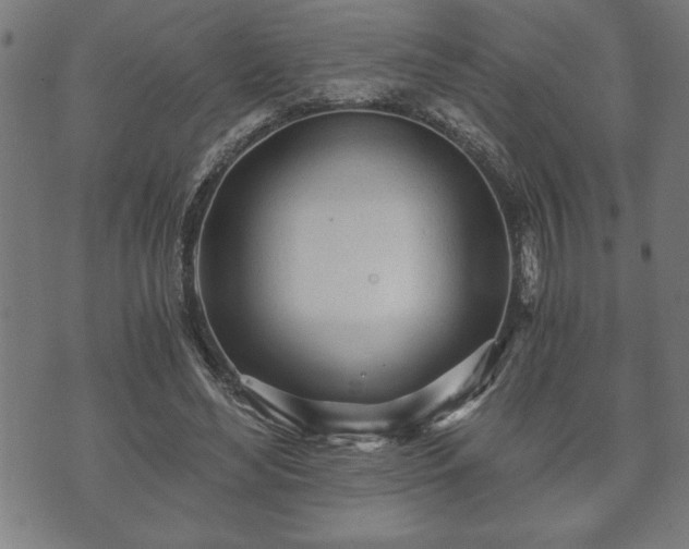 X0000073490492200608071001