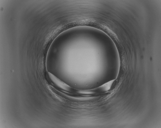 X0000073490493200608071001