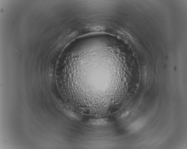 X0000073490553200608071000