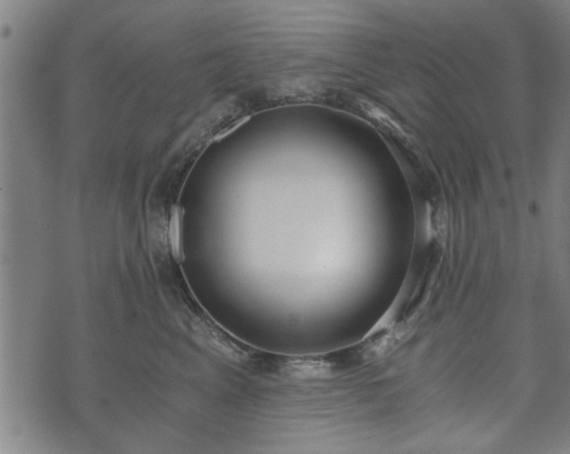 X0000073490617200608070959