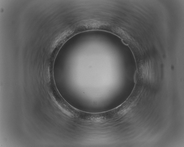 X0000073490638200608070958