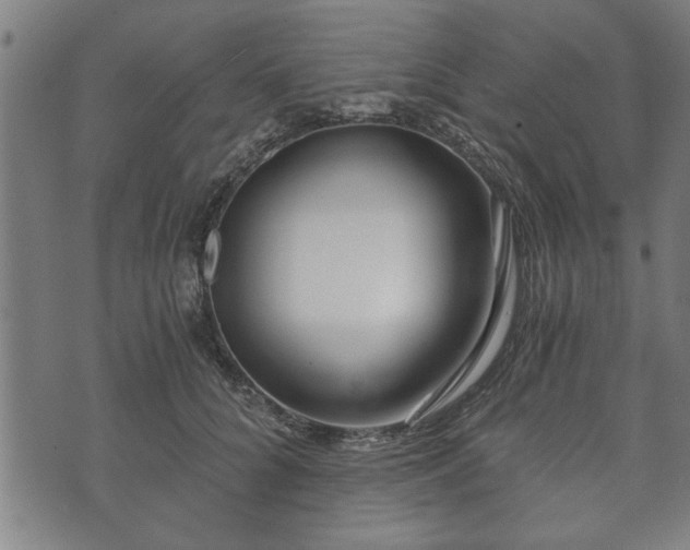 X0000073490704200608070957