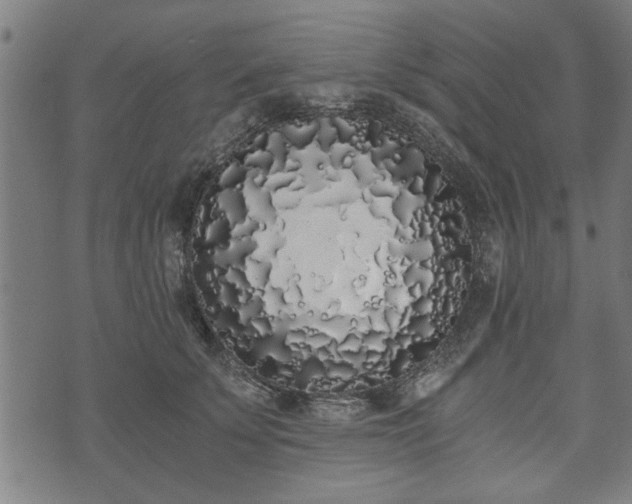 X0000073490707200608070957