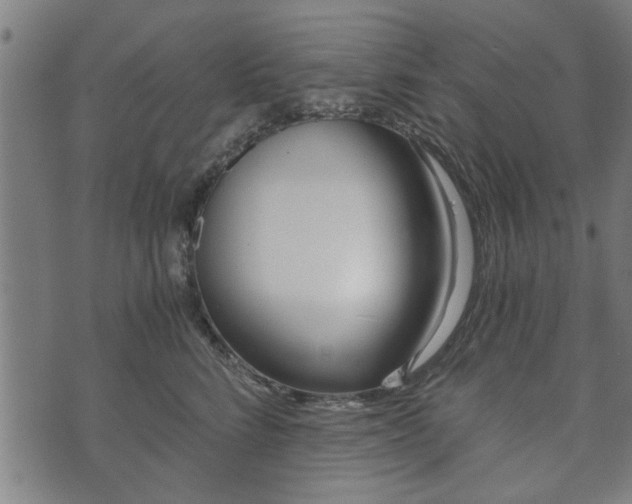 X0000073490712200608070957