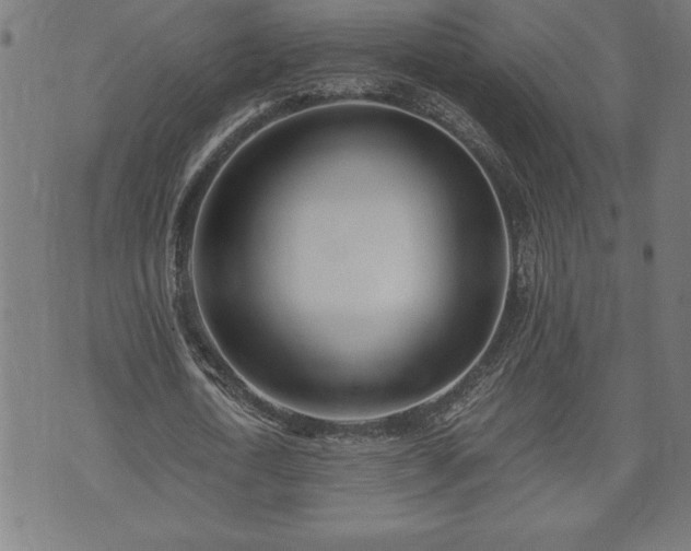 X0000073490722200608070956