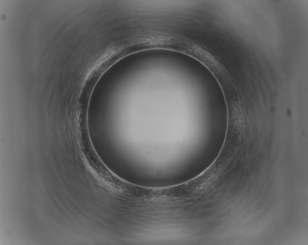 X0000073490730200608070956