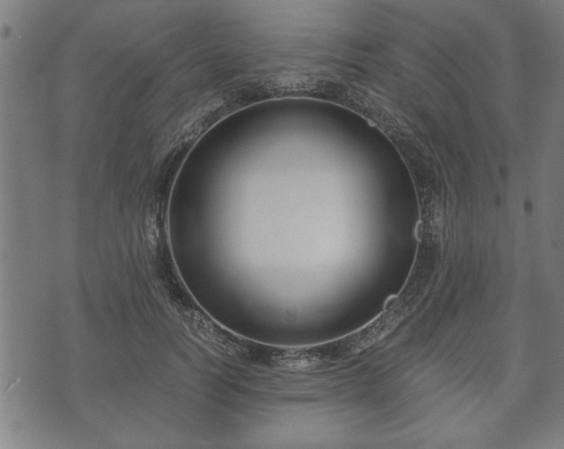 X0000073490746200608070957